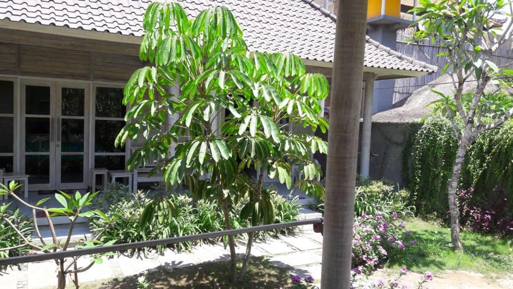 Готель Vista Huts Lembongan Екстер'єр фото