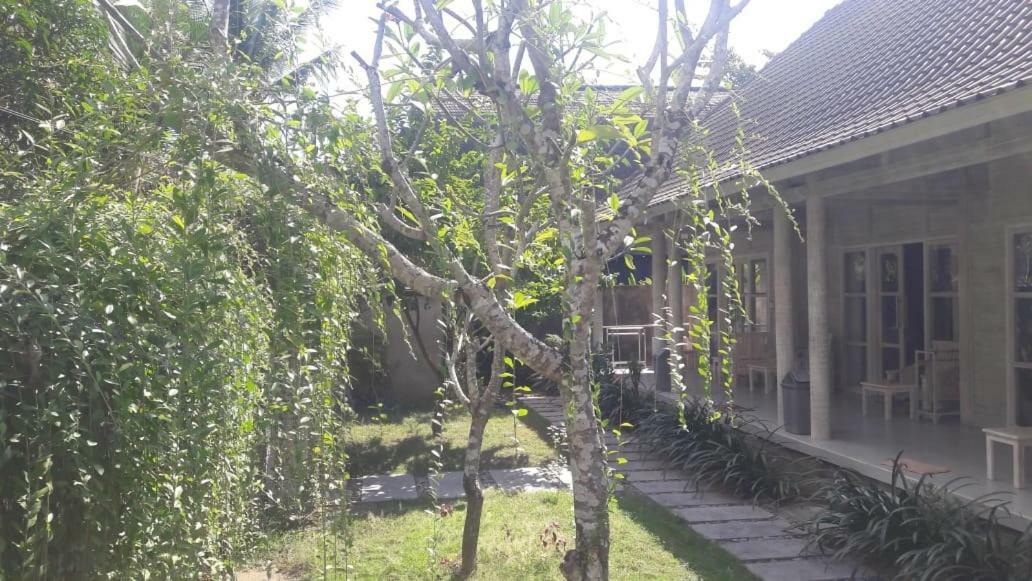 Готель Vista Huts Lembongan Екстер'єр фото